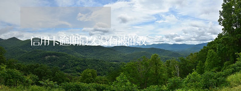 信用卡逾期最久没有被催收