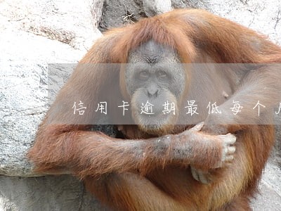 信用卡逾期最低每个月还多少 信用卡逾期最低每个月还多少
