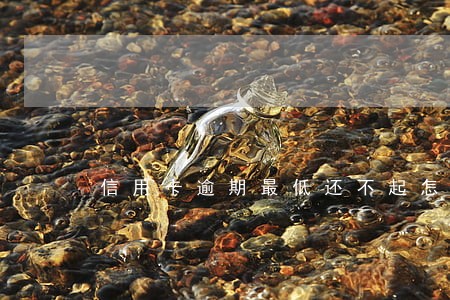 信用卡逾期最低还不起怎么办 信用卡逾期最低还不起怎么办