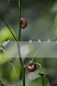 信用卡逾期最低还多小 信用卡逾期最低还多小
