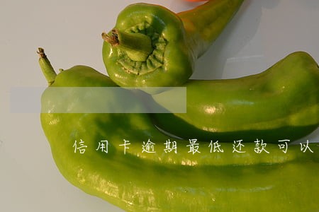 信用卡逾期最低还款可以用吗