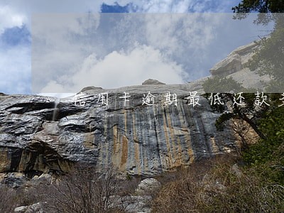 信用卡逾期最低还款多少 信用卡逾期最低还款多少