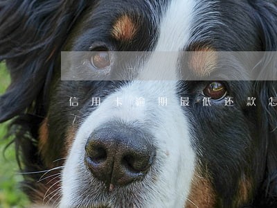 信用卡逾期最低还款怎么算 信用卡逾期最低还款怎么算