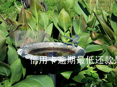 信用卡逾期最低还款是多少