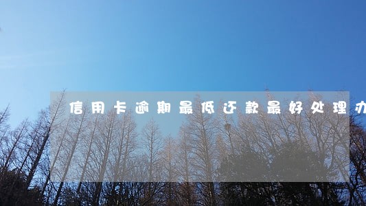 信用卡逾期最低还款最好处理办法 信用卡逾期最低还款最好处理办法
