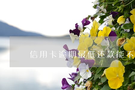 信用卡逾期最低还款能不能再借 信用卡逾期最低还款能不能再借