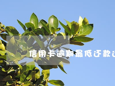 信用卡逾期最低还款还不上 信用卡逾期最低还款还不上