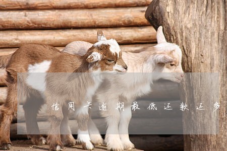 信用卡逾期最低还款还多少 信用卡逾期最低还款还多少