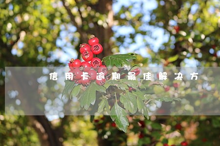 信用卡逾期最佳解决方 信用卡逾期最佳解决方