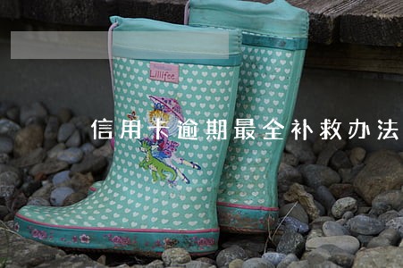 信用卡逾期最全补救办法 信用卡逾期最全补救办法