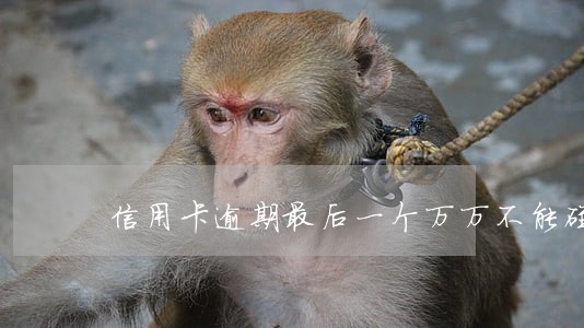 信用卡逾期最后一个万万不能碰 信用卡逾期最后一个万万不能碰