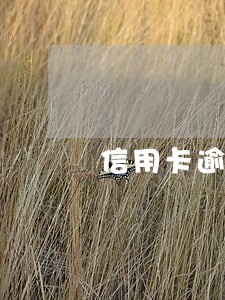 信用卡逾期最后一天还款有利息 信用卡逾期最后一天还款有利息