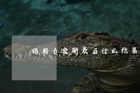 信用卡逾期最后什么结果 信用卡逾期最后什么结果