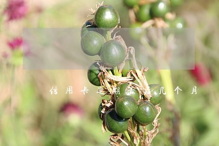 信用卡逾期最后几个月