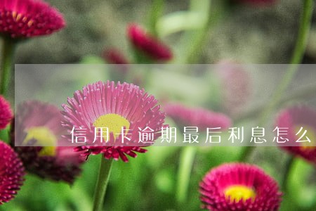 信用卡逾期最后利息怎么算
