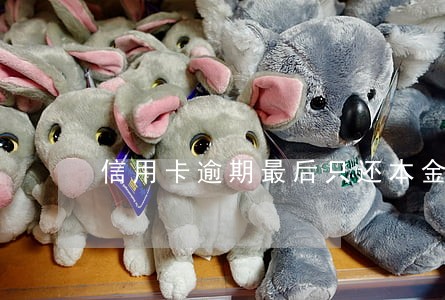 信用卡逾期最后只还本金可以吗 信用卡逾期最后只还本金可以吗