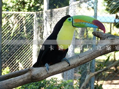 信用卡逾期最后立案审查程序 信用卡逾期最后立案审查程序