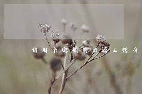 信用卡逾期最后还上钱有事吗 信用卡逾期最后还上钱有事吗
