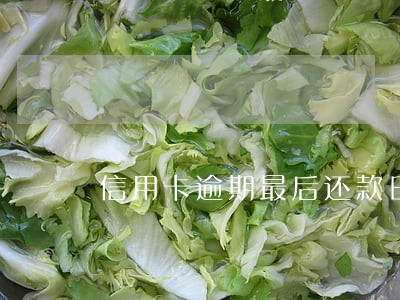 信用卡逾期最后还款日