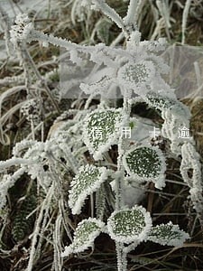 信用卡逾期最坏的 信用卡逾期最坏的