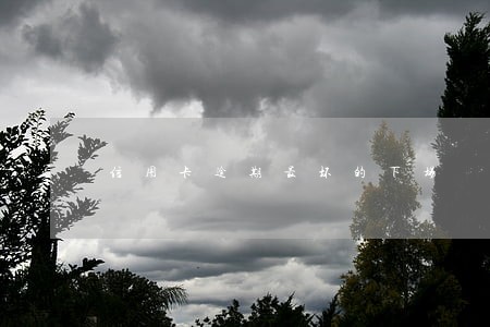 信用卡逾期最坏的下场