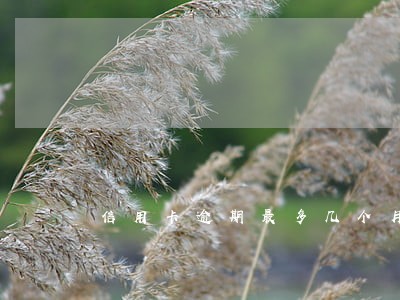 信用卡逾期最多几个月 信用卡逾期最多几个月