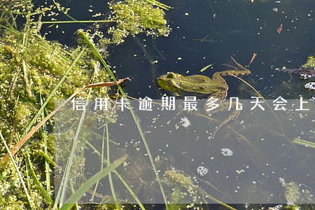 信用卡逾期最多几天会上征信