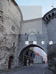 信用卡逾期最多分多少期 信用卡逾期最多分多少期