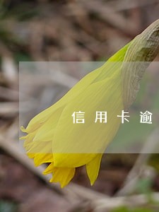 信用卡逾期最多可以几年 信用卡逾期最多可以几年