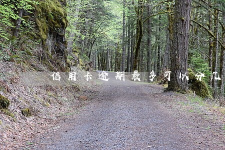 信用卡逾期最多可以分几年还 信用卡逾期最多可以分几年还