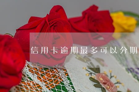 信用卡逾期最多可以分期多久 信用卡逾期最多可以分期多久