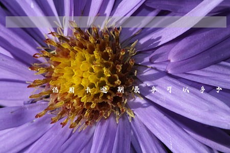 信用卡逾期最多可以多少年