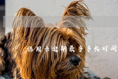 信用卡逾期最多多长时间 信用卡逾期最多多长时间
