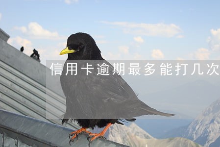 信用卡逾期最多能打几次电话