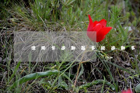 信用卡逾期最多能逾期多久 信用卡逾期最多能逾期多久
