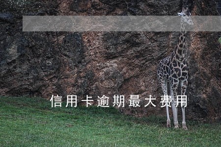 信用卡逾期最大费用 信用卡逾期最大费用