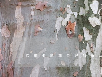 信用卡逾期最好的解决方法