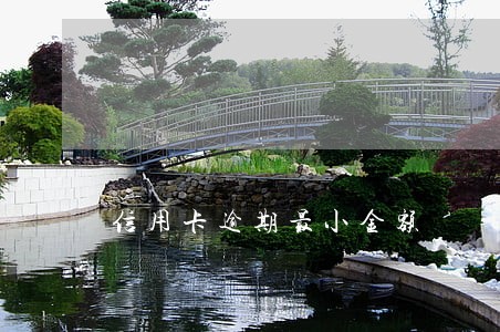 信用卡逾期最小金额 信用卡逾期最小金额