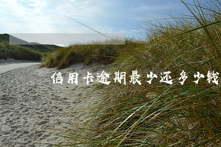 信用卡逾期最少还多少钱 信用卡逾期最少还多少钱