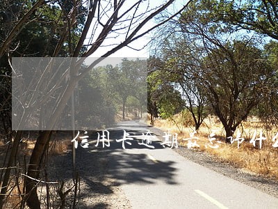 信用卡逾期最忌讳什么 信用卡逾期最忌讳什么