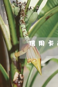 信用卡逾期最忌讳的是什么 信用卡逾期最忌讳的是什么