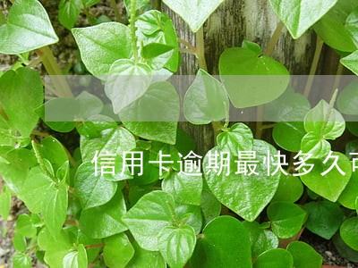 信用卡逾期最快多久可以被消除 信用卡逾期最快多久可以被消除