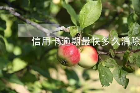 信用卡逾期最快多久消除 信用卡逾期最快多久消除