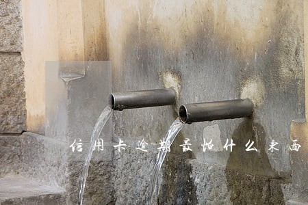 信用卡逾期最怕什么东西