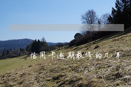 信用卡逾期最惨的几年 信用卡逾期最惨的几年