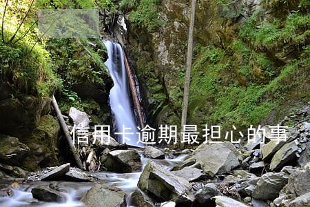 信用卡逾期最担心的事 信用卡逾期最担心的事