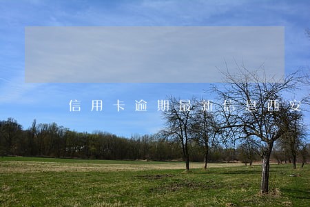 信用卡逾期最新信息西安 信用卡逾期最新信息西安