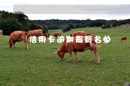 信用卡逾期最新名单 信用卡逾期最新名单