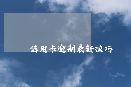 信用卡逾期最新技巧