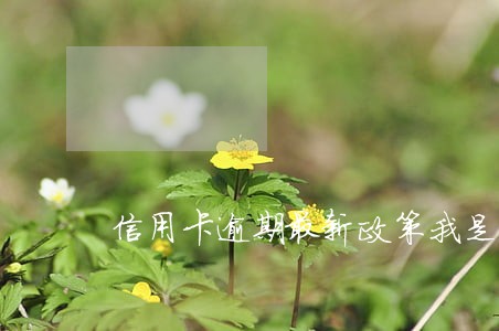 信用卡逾期最新政策我是武汉的
